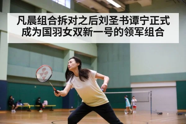 凡晨组合拆对之后刘圣书谭宁正式成为国羽女双新一号的领军组合